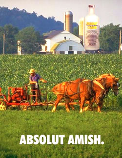 Absolut Amish Absolut Amish